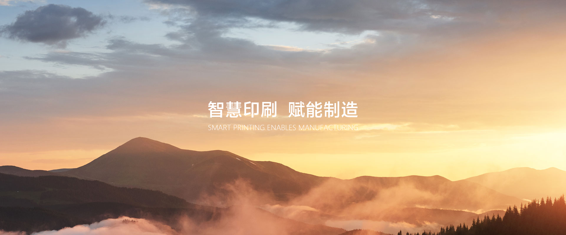 網(wǎng)站首頁-浙江元金包裝有限公司