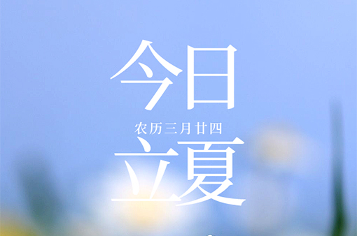 日高蟬鳴春意遠，萬物初壯始立夏-浙江元金包裝有限公司